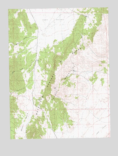 Tognini Spring, NV USGS Topographic Map