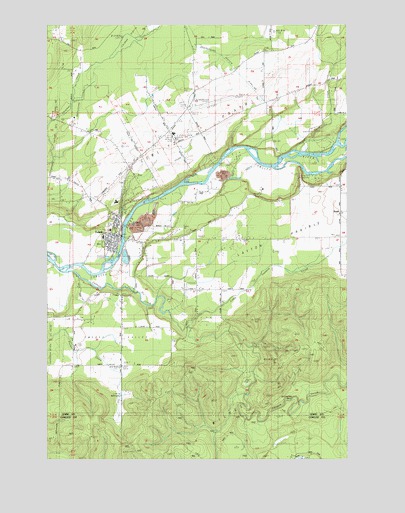 Toledo, WA USGS Topographic Map