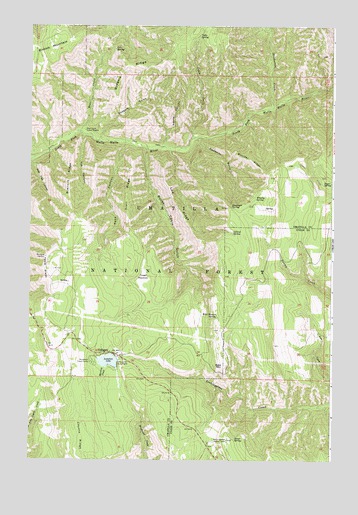 Tollgate, OR USGS Topographic Map