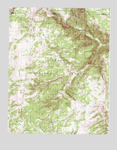 Toltec Mesa, NM USGS Topographic Map