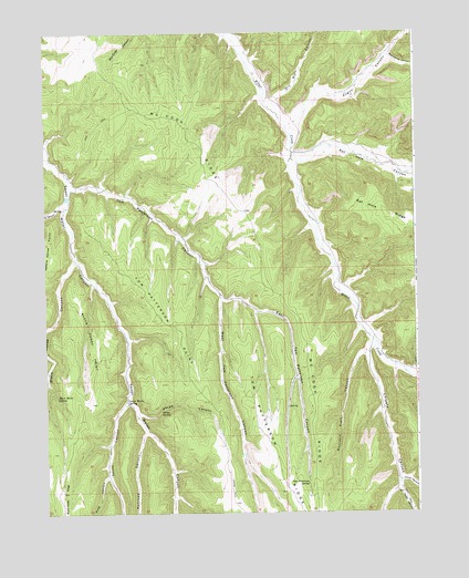 Tom Patterson Canyon, UT USGS Topographic Map