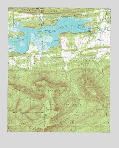 Blue Mountain Dam, AR USGS Topographic Map