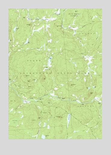 Tooley Pond, NY USGS Topographic Map