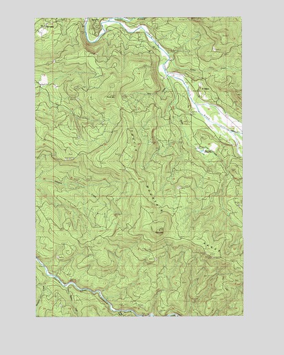 Toutle Mountain, WA USGS Topographic Map