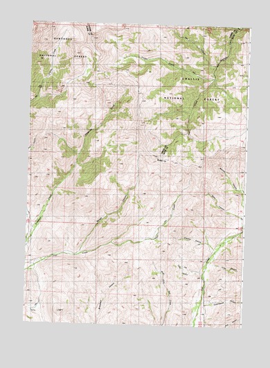 Trail Creek, ID USGS Topographic Map