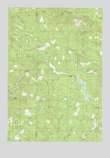 Trask Mountain, OR USGS Topographic Map