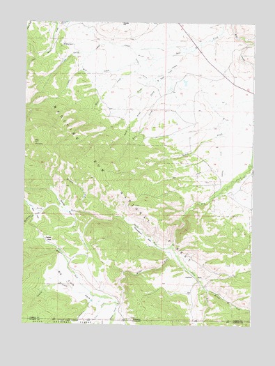 Trent Creek, WY USGS Topographic Map