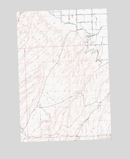 Bluelight NW, WA USGS Topographic Map