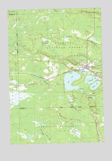 Trout Lake, MI USGS Topographic Map