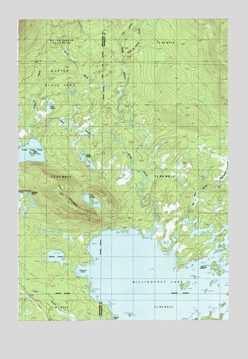 Trout Mountain, ME USGS Topographic Map