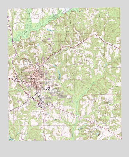 Troy, AL USGS Topographic Map