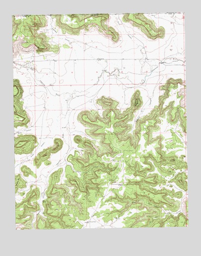 Tub Spring, NM USGS Topographic Map