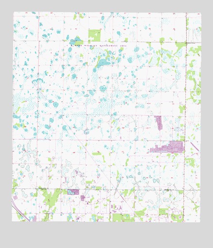Tuckers Corner, FL USGS Topographic Map