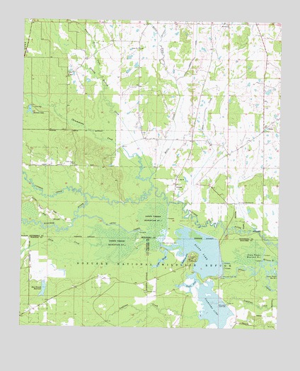 Bluff Lake, MS USGS Topographic Map