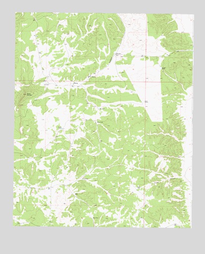 Turkey Ridge SW, NM USGS Topographic Map