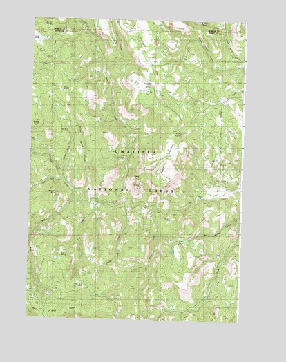 Turner Mountain, OR USGS Topographic Map