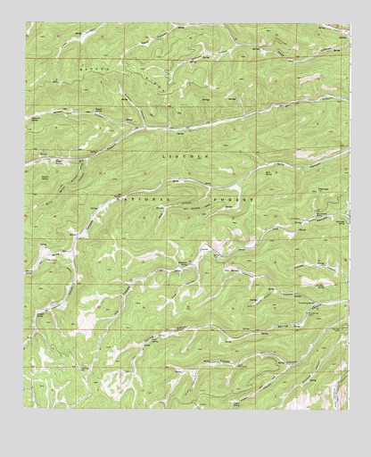 Bluff Springs, NM USGS Topographic Map