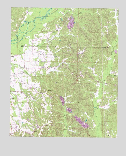 Turon, MS USGS Topographic Map