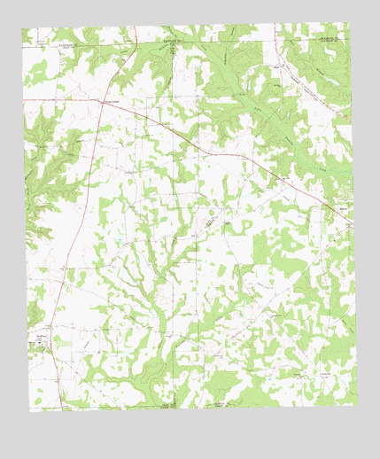 Bluffton, GA USGS Topographic Map
