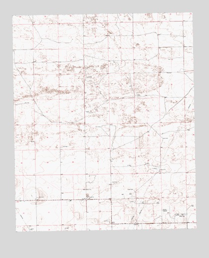 Bluit, NM USGS Topographic Map