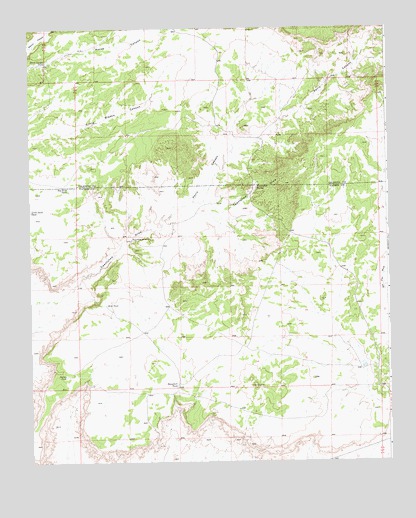 Twentytwo Spring, NM USGS Topographic Map
