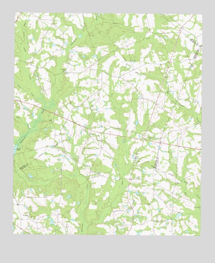 Twin City SE, GA USGS Topographic Map