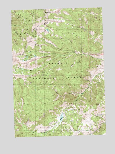 Twin Peaks, ID USGS Topographic Map