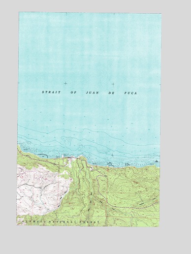 Twin Rivers, WA USGS Topographic Map