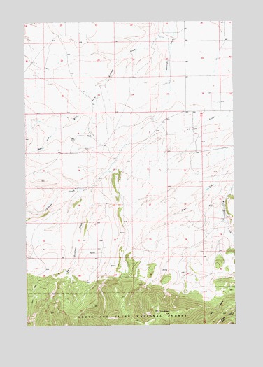 Twin Sisters, MT USGS Topographic Map