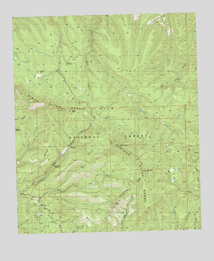 Twin Sisters, NM USGS Topographic Map