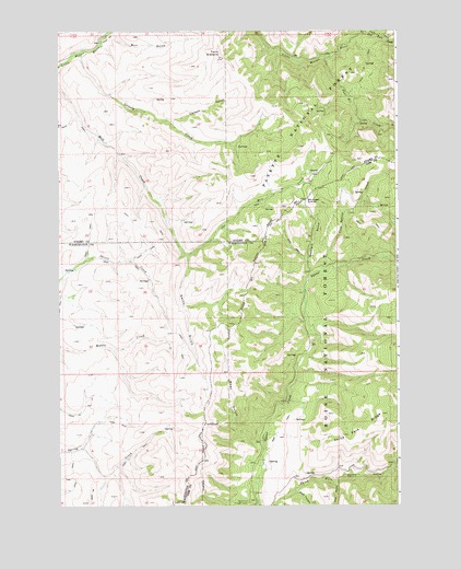 Twin Sisters, ID USGS Topographic Map