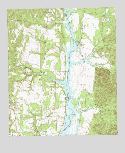 Twin Springs, AL USGS Topographic Map
