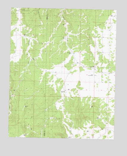 Blye Canyon NE, AZ USGS Topographic Map