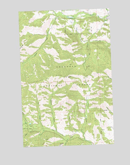 Twisp West, WA USGS Topographic Map