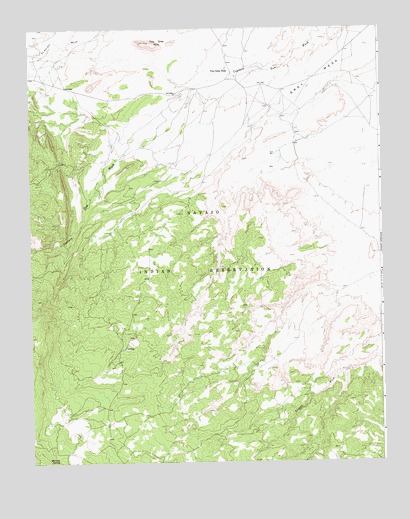 Two Grey Hills, NM USGS Topographic Map