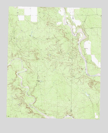 Twomile Creek, TX USGS Topographic Map