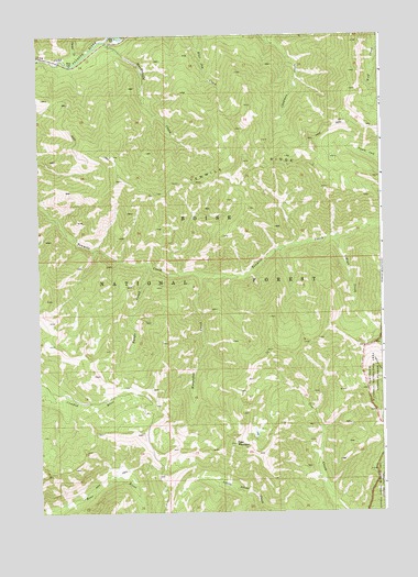 Tyee Mountain, ID USGS Topographic Map