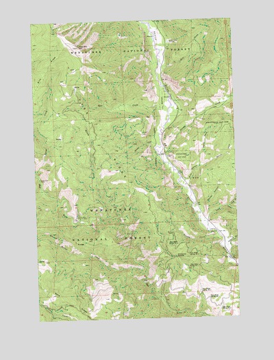 Tyee Mountain, WA USGS Topographic Map