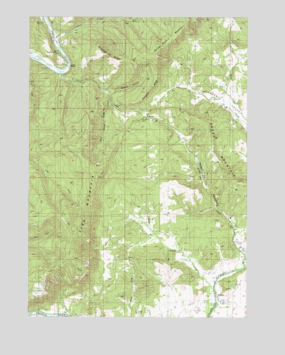 Tyee Mountain, OR USGS Topographic Map