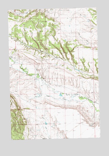 Tyler, MT USGS Topographic Map