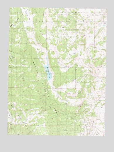 Tyler Mountain, CO USGS Topographic Map