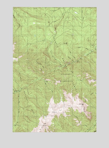 Tyler Peak, WA USGS Topographic Map