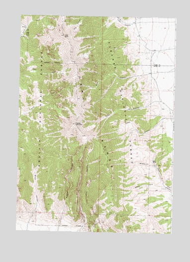 Tyler Peak, ID USGS Topographic Map