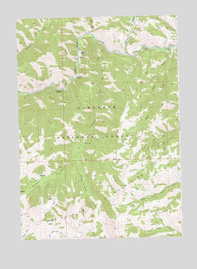 Boardman Creek, ID USGS Topographic Map