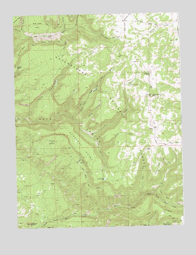 Uncompahgre Butte, CO USGS Topographic Map