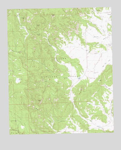Underwood Lake, NM USGS Topographic Map