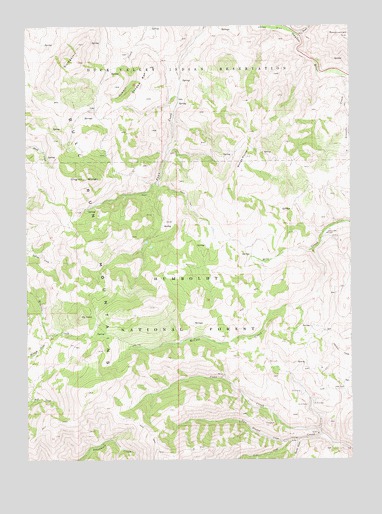 Ungina Wongo, NV USGS Topographic Map