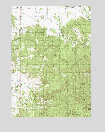 Union Point, OR USGS Topographic Map