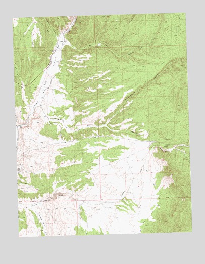 Ursine, NV USGS Topographic Map