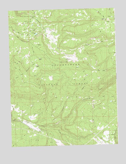 Ute, CO USGS Topographic Map